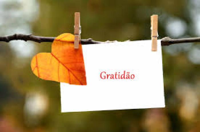 Colheita e Gratidão