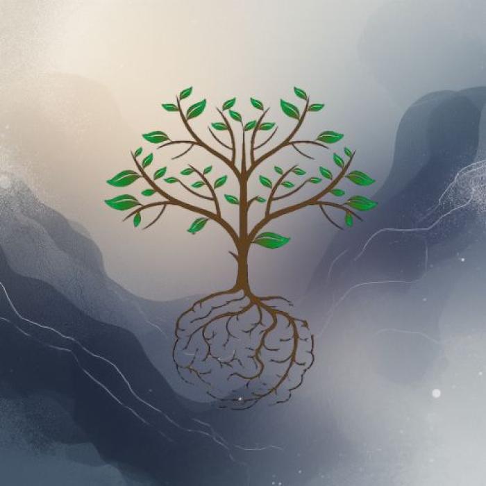 Neuro Raiz: Onde Tudo Começa