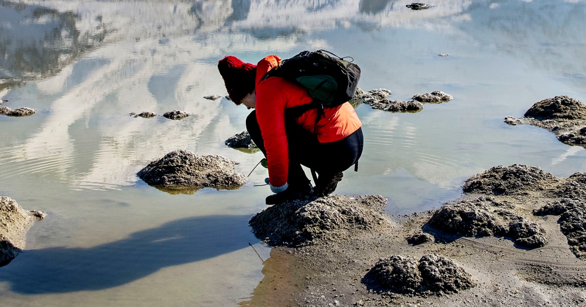 The audacious plan to refill the Great Salt Lake