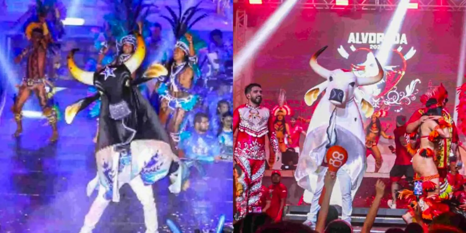 Lançamento oficial do Festival de Parintins 2026 acontece nesta sexta