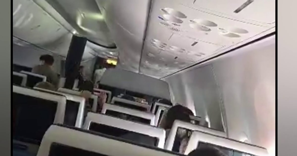 Passengers stop co-pilot’s attempt to crash plane