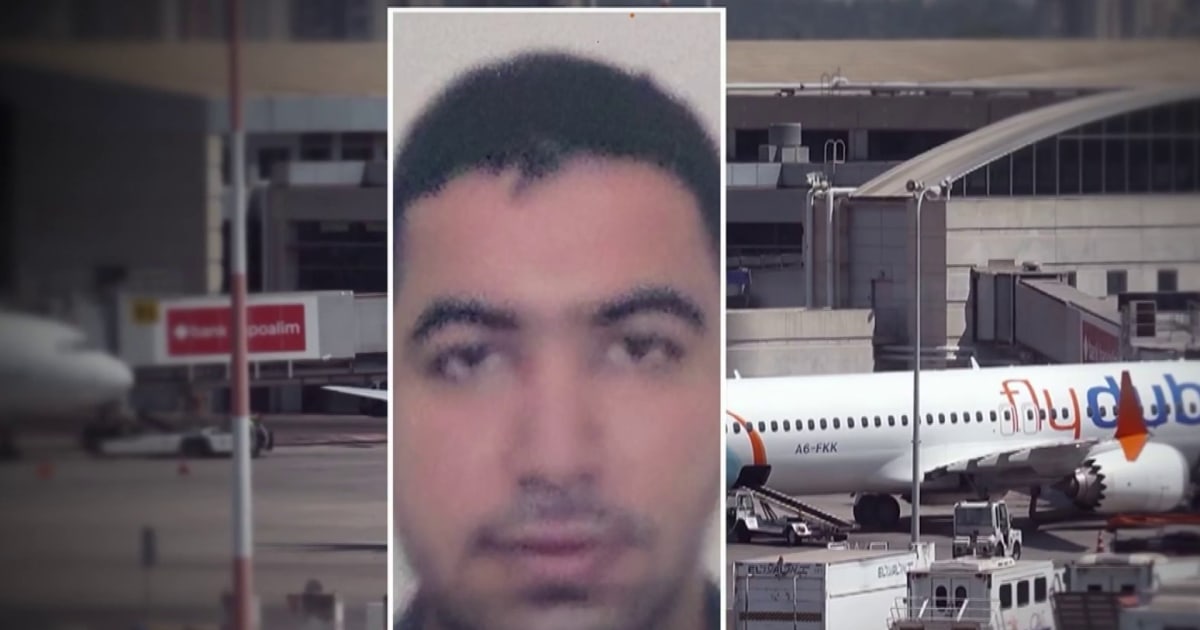Early indications suggest Flydubai co-pilot acted alone in attack, officials say