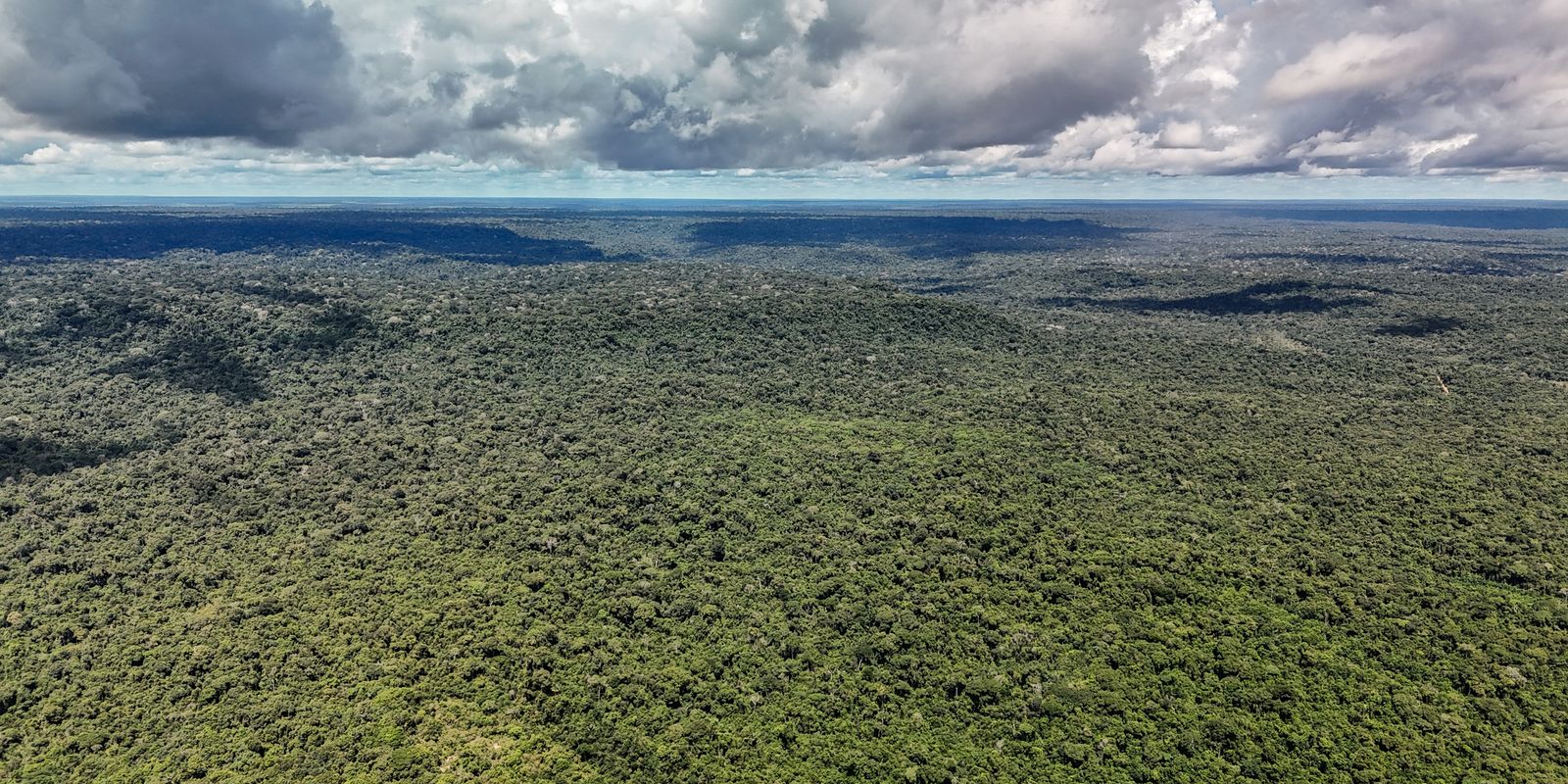 MapBiomas: Amazônia registra menor nível de desmatamento em 41 anos