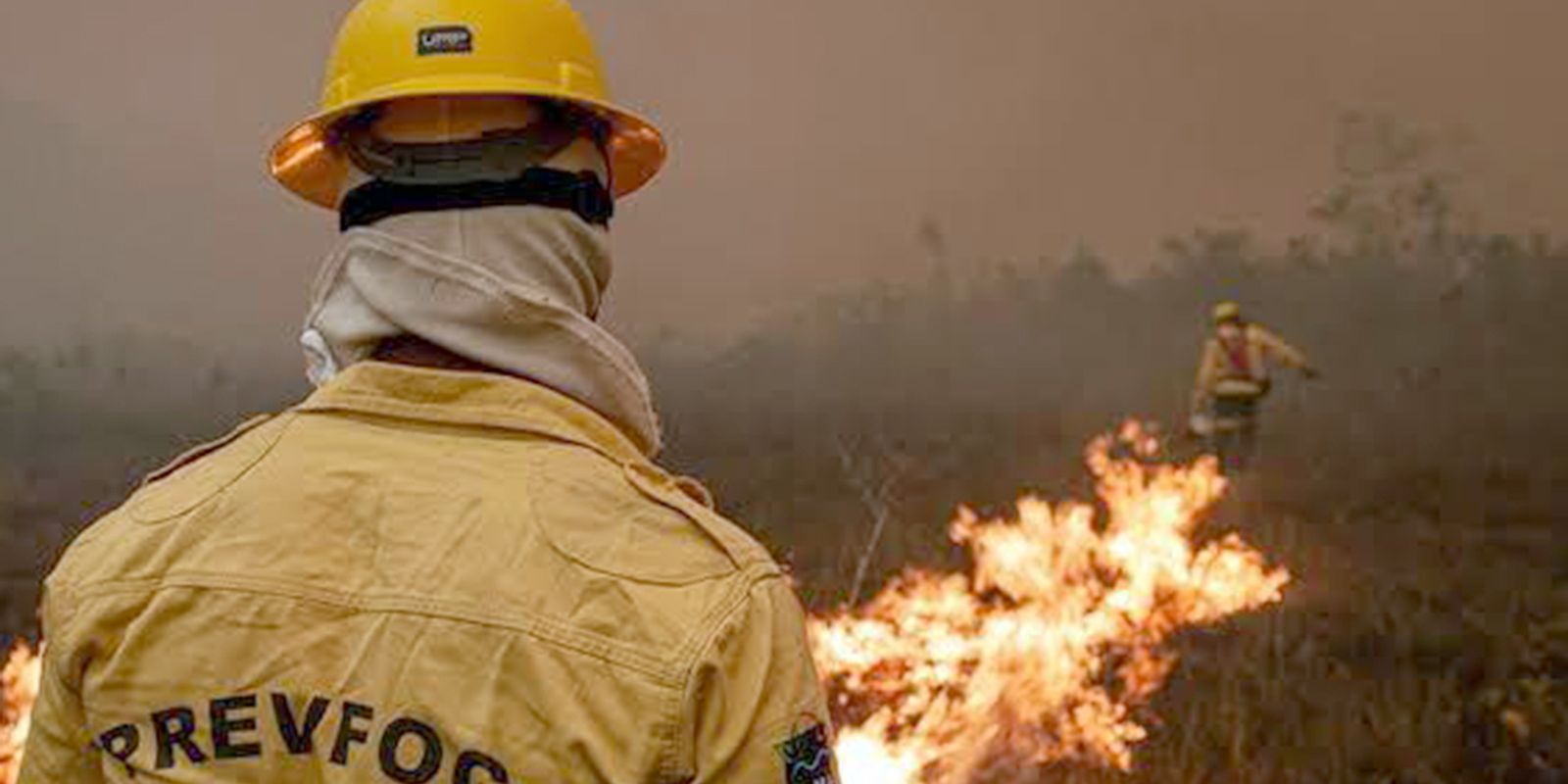 Focos de incêndio no Amazonas diminuem após ação de força-tarefa
